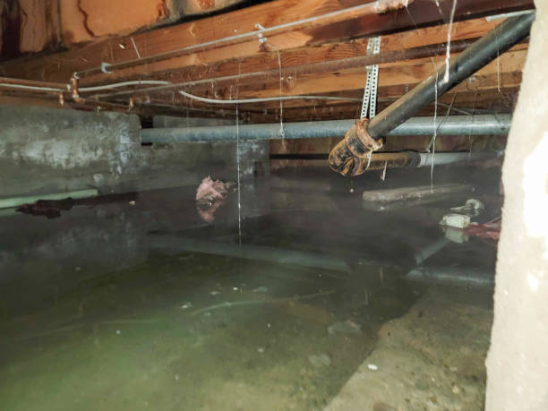 Water damage restoration experts in Potosi, MO