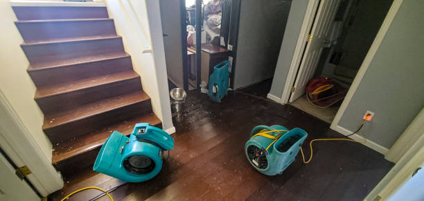 Best Local water damage restoration  in Potosi, MO