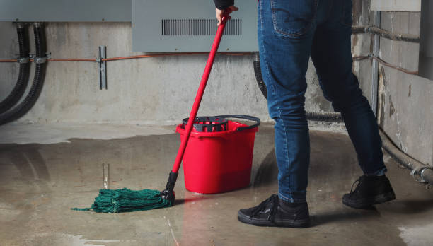 Best Professional water damage repair  in Potosi, MO