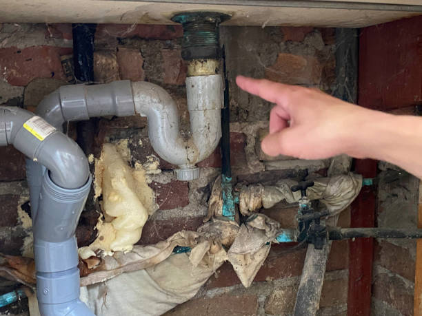 Best Water damage contractors near me  in Potosi, MO