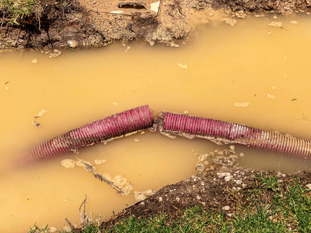 Best Water damage restoration near me  in Potosi, MO